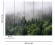 Skaben Fototapete Wald Landschaft Grün / Weiß Raum2