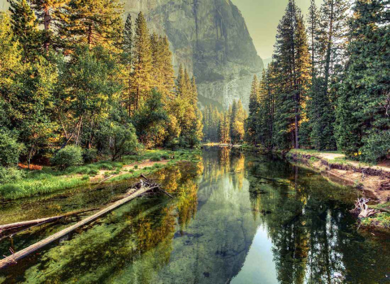 Skaben Wall mural Forest - Green / Yellow | Forest, Nature, Landscape, Mountains Wallpaper main product photo