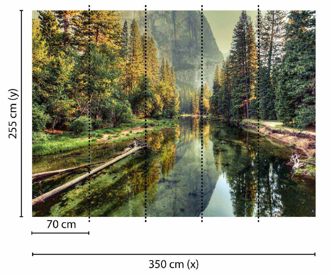 Skaben Fototapete Wald Natur Grün / Gelb Raum2
