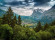 Skaben Fototapete Wald Natur Grün / Grau Raum1 Skaben Fototapete Wald Natur Grün / Grau Raum1