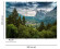 Skaben Fototapete Wald Natur Grün / Grau Raum2 Skaben Fototapete Wald Natur Grün / Grau Raum2