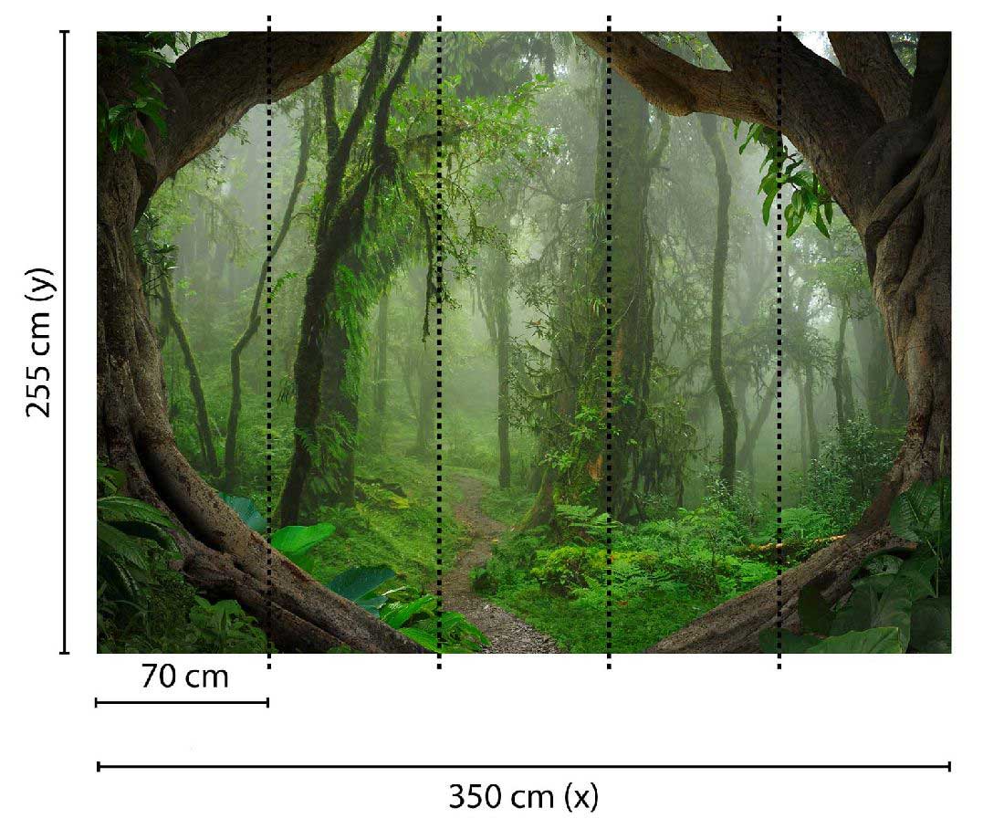 Skaben Fototapete Wald Regenwald Grün / Braun Raum2