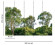 Skaben Fototapete Wald Regenwald Grün / Weiß Raum2 Skaben Fototapete Wald Regenwald Grün / Weiß Raum2