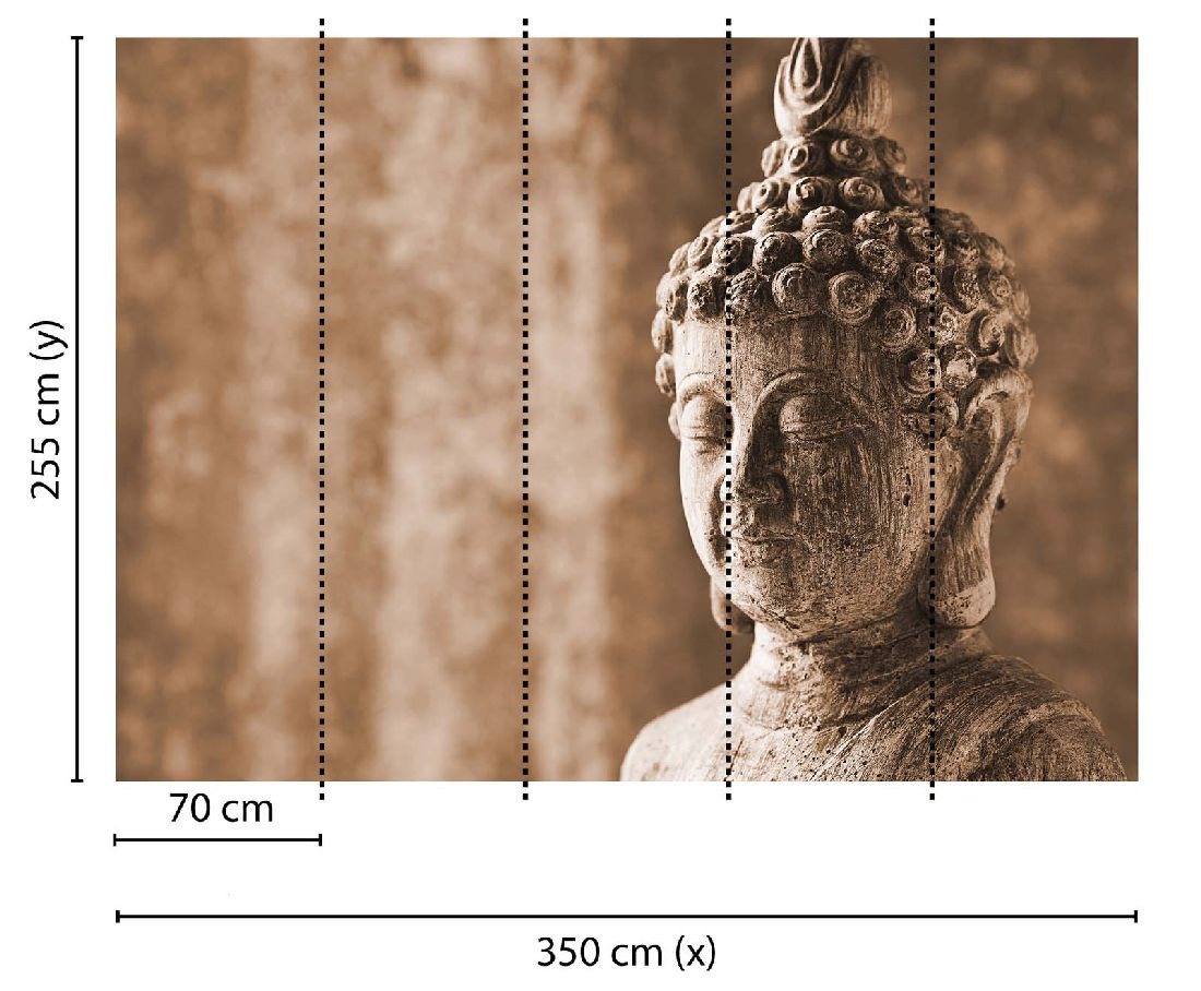 Skaben Fototapete Wellness Buddha Braun / Grau Raum2