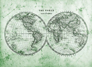 Skaben Fototapete World - Grün / Grau | Weltkarte Tapete