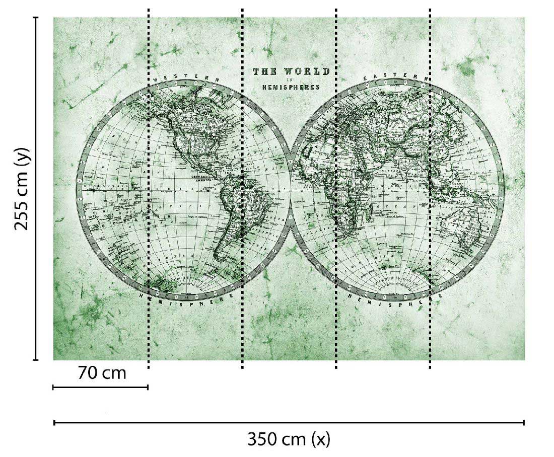 Skaben Fototapete Weltkarte Grün / Grau Raum2