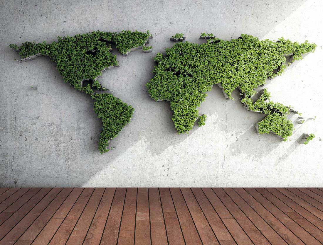 Skaben Holzterrasse Cumaru braun Prime beidseitig glatt 21 x 145 x 2130-6100 Raum4