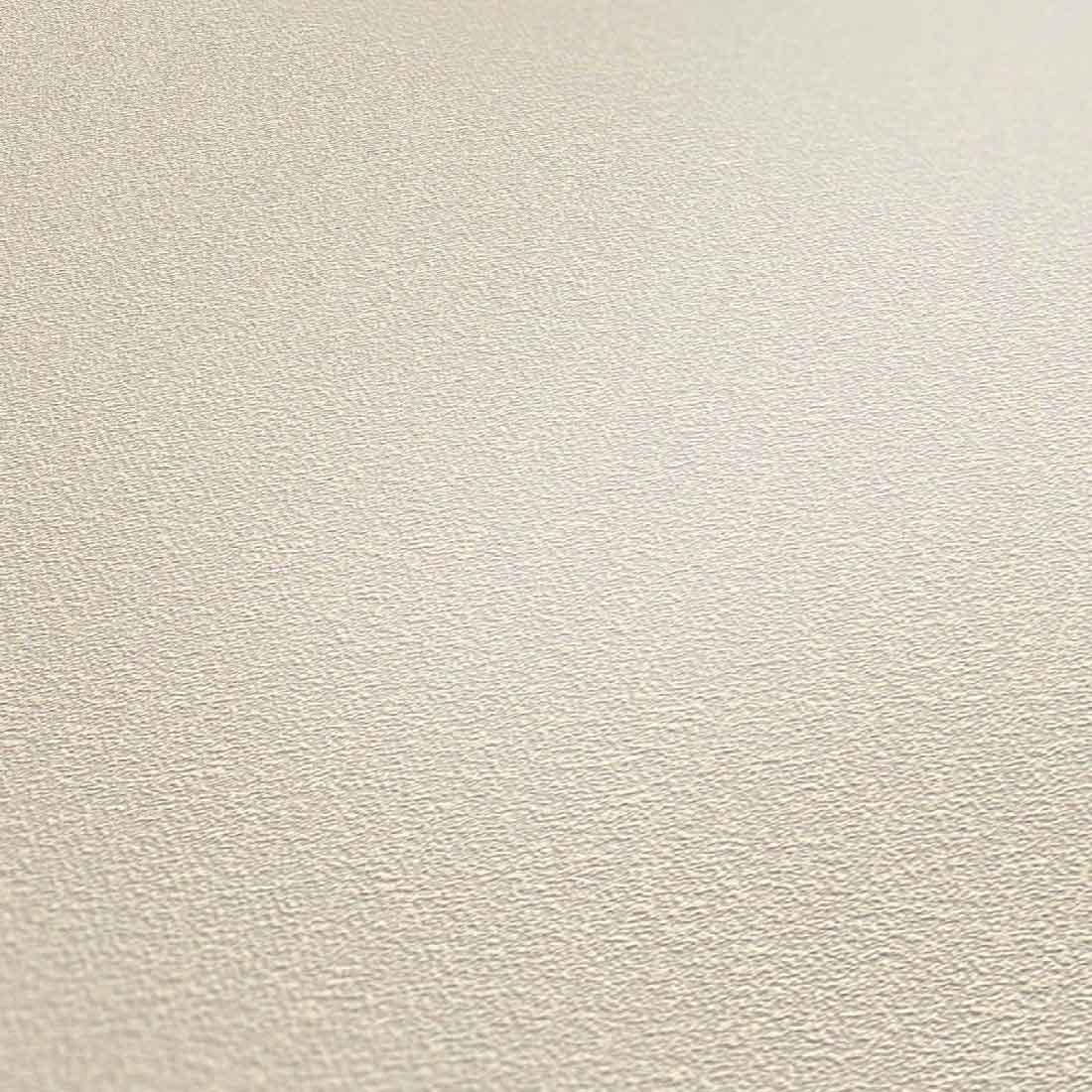 Skaben Tapete Dots / Circles Punktetapete / Kreistapete Beige / Grau Raum2