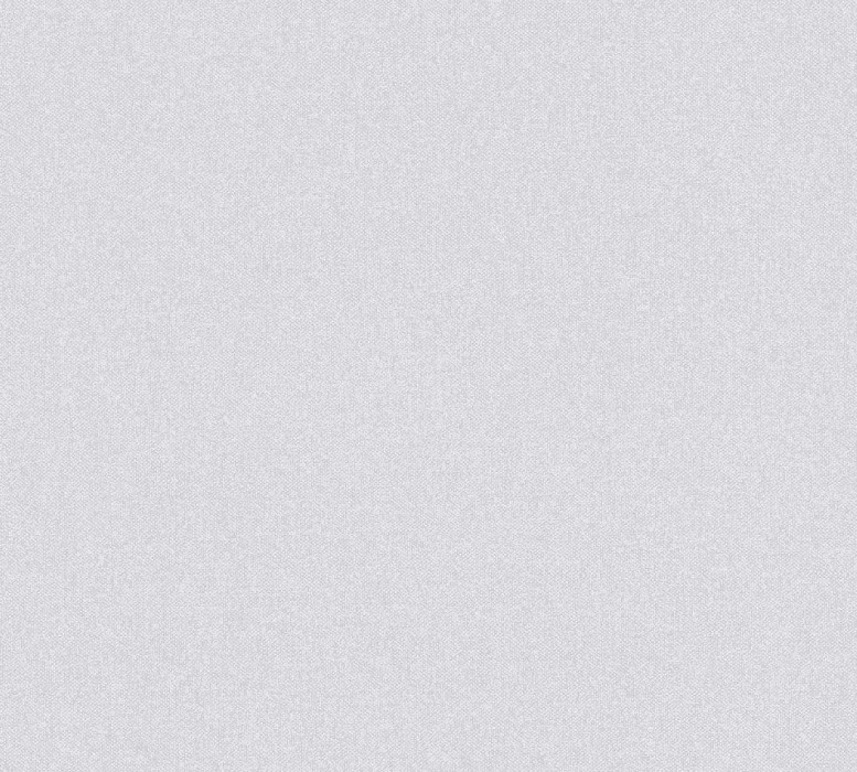 Skaben Papier peint Uni - Papier peint uni Gris 10,05 m x 0,53 m D3655 main product photo