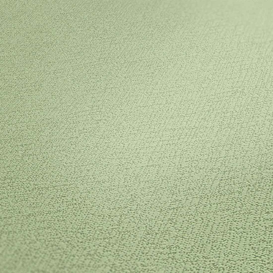 Skaben Tapete Uni Unitapete Beige / Creme Raum2