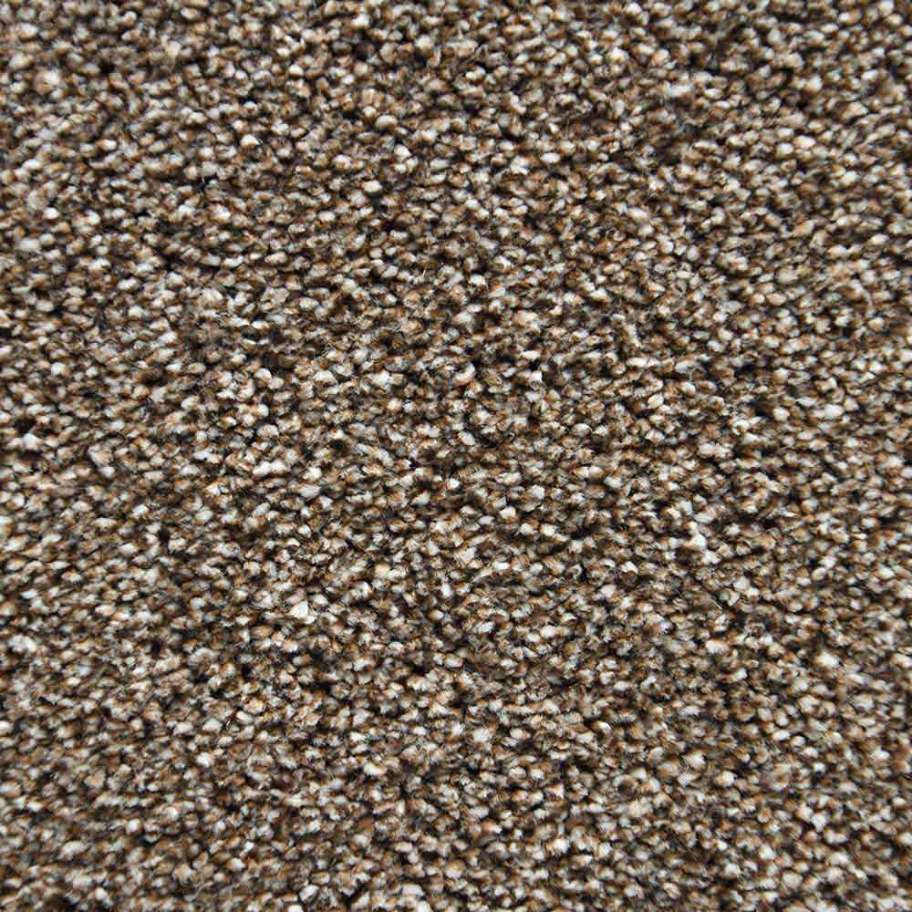 Skaben Teppichboden Congo Quincy 400 cm Raum1