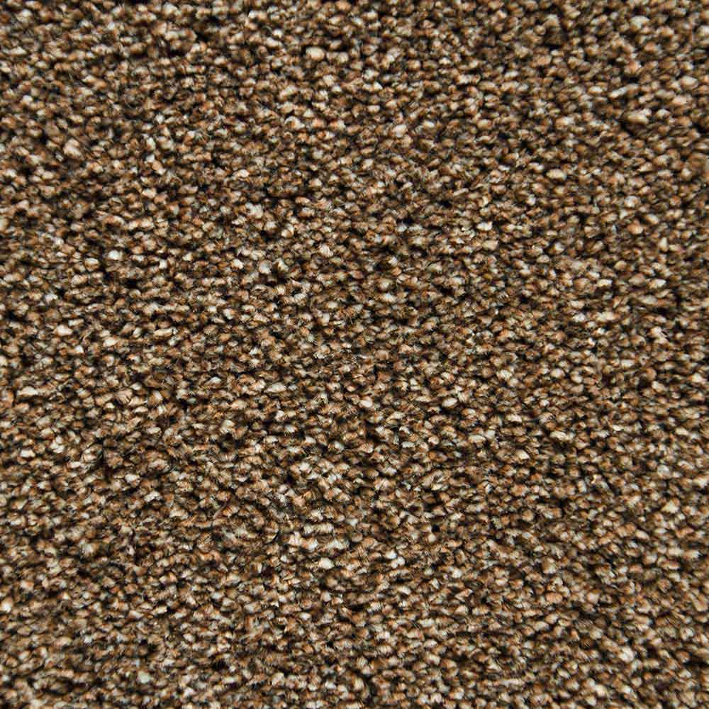 Skaben Teppichboden Congo Van Cleef 400 cm Raum1