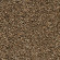 Skaben Teppichboden Congo Van Cleef 400 cm Raum1 Skaben Teppichboden Congo Van Cleef 400 cm Raum1