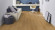 Tarkett Designboden Starfloor Click Ultimate 55 Highland Oak Natural Planke 4V Akustikrücken Raum3