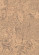 Wicanders Korkboden cork Pure Personality Champagne vorversiegelt Fliese 4V Dekoransicht Wicanders Korkboden cork Pure Personality Champagne vorversiegelt Fliese 4V Dekoransicht