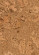 Wicanders Korkboden cork Pure Personality Natural naturbelassen Fliese Dekoransicht Wicanders Korkboden cork Pure Personality Natural naturbelassen Fliese Dekoransicht