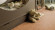 Wicanders Korkboden cork Pure Shell Natural vorversiegelt Fliese Raum6 Wicanders Korkboden cork Pure Shell Natural vorversiegelt Fliese Raum6