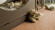 Wicanders Korkboden cork Pure Traces Natural naturbelassen Fliese Raum5 Wicanders Korkboden cork Pure Traces Natural naturbelassen Fliese Raum5