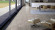 Wicanders Korkboden stone Essence Azulejo Sand Fliese Raum6 Wicanders Korkboden stone Essence Azulejo Sand Fliese Raum6