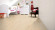 Wineo Purline Bioboden 1000 Wood L elastisch Natural Pine Beach 1-Stab Landhausdiele M4V zum klicken Raum7 Wineo Purline Bioboden 1000 Wood L elastisch Natural Pine Beach 1-Stab Landhausdiele M4V zum klicken Raum7