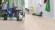 Wineo Purline Bioboden 1000 Wood L elastisch Soft Oak Salt 1-Stab Landhausdiele M4V zum klicken Raum7 Wineo Purline Bioboden 1000 Wood L elastisch Soft Oak Salt 1-Stab Landhausdiele M4V zum klicken Raum7