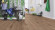 Wineo Purline Bioboden 1000 Wood L elastisch Strong Oak Cinnamon 1-Stab Landhausdiele M4V zum kleben Raum6 Wineo Purline Bioboden 1000 Wood L elastisch Strong Oak Cinnamon 1-Stab Landhausdiele M4V zum kleben Raum6