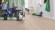 Wineo Purline Bioboden 1000 Wood XL Multi-Layer Calm Oak Bright 1-Stab Landhausdiele 4V Raum6 Wineo Purline Bioboden 1000 Wood XL Multi-Layer Calm Oak Bright 1-Stab Landhausdiele 4V Raum6