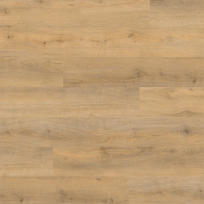 Rigid Klick Vinyl - Grande XL Eiche Pulse | Trittschall integr. (VCG011) main product photo