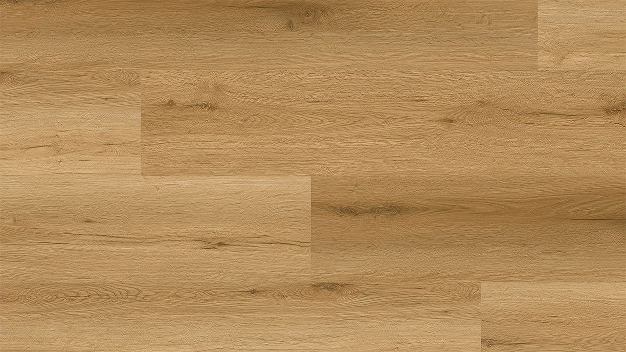 Rigid Klick Vinyl - Summit Eiche Natur| Trittschall integr. (VCS016)