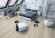 Skaben Design Rhino Click 30 XL Eiche Weiß Neuschwanstein Real Feel Landhausdiele XL M4V Trittschallmatte Raum3 Skaben Design Rhino Click 30 XL Eiche Weiß Neuschwanstein Real Feel Landhausdiele XL M4V Trittschallmatte Raum3