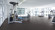 Wineo Purline Organic flooring 1500 Chip Midnight Grey Rolled goods Wineo Purline Organic flooring 1500 Chip Midnight Grey Rolled goods