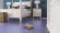 Wineo Purline Bioboden 1500 Chip Purple Rain Rollenware Wineo Purline Bioboden 1500 Chip Purple Rain Rollenware