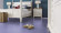 Wineo Purline Organic flooring 1500 Chip Purple Rain Rolled goods