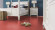 Wineo Purline Organic flooring 1500 Chip Red Ruby Rolled goods