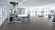 Wineo Purline Organic flooring 1500 Chip Steel Grey Rolled goods Wineo Purline Organic flooring 1500 Chip Steel Grey Rolled goods