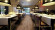 Wineo Purline Bioboden 1500 Wood L Noble Elm 1-Stab Landhausdiele Wineo Purline Bioboden 1500 Wood L Noble Elm 1-Stab Landhausdiele