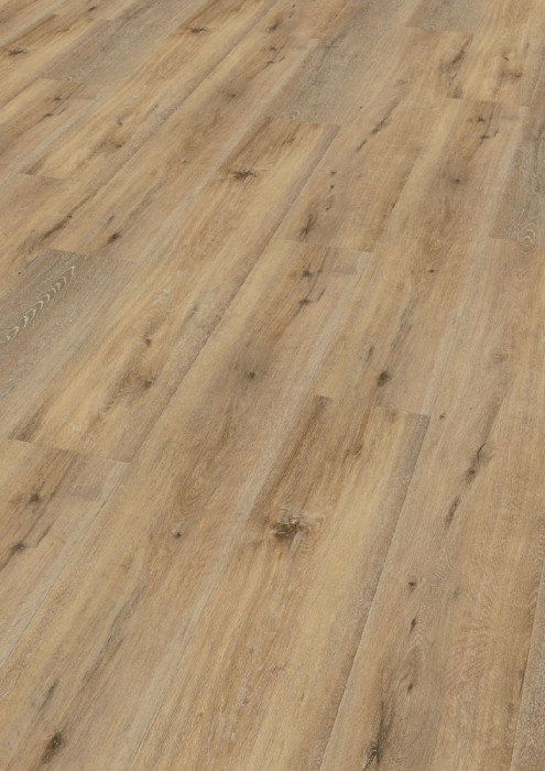 Wineo Vinyl flooring 400 Wood XL Joy Oak Tender 1-strip 4V for gluing main product photo