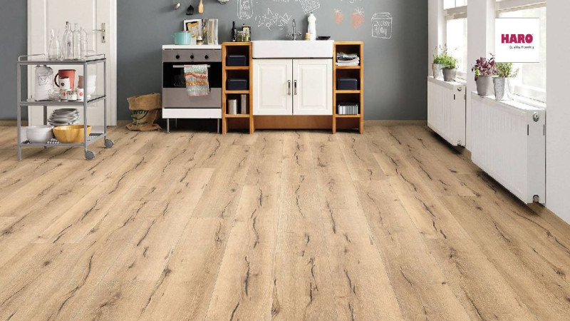 HARO Laminat TRITTY 100 Eiche italica creme Gran Via 4V authentic Silent CT main product photo