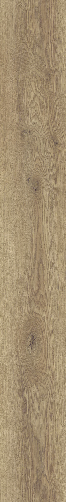 Kronotex Laminat MAMMUT Plus Berg Eiche Natur 1-Stab Landhausdiele 4V