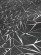Parador Stratifié Edition 1 Zaha Hadid Krystal Motif de lame individuel M4V