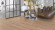 Parador Parquet Classic 3060 Rustikal Oak White natural oil plus 1-strip M4V Parador Parquet Classic 3060 Rustikal Oak White natural oil plus 1-strip M4V