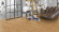 Parador Parquet Edition Floor Fields NEA Alfredo Häberli Oak Pure 1-strip M4V Parador Parquet Edition Floor Fields NEA Alfredo Häberli Oak Pure 1-strip M4V