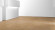 Parador Parquet Edition New Classics Hadi Teherani French Oak Nature Modul 2 M4V Parador Parquet Edition New Classics Hadi Teherani French Oak Nature Modul 2 M4V