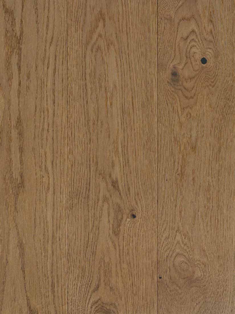 Parador Parkett Trendtime 4 Living Eiche nougat 1-Stab Landhausdiele M4V