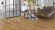 Parador Parquet Trendtime 8 Classic Oak handcrafted 1-strip 4V Parador Parquet Trendtime 8 Classic Oak handcrafted 1-strip 4V
