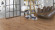 Parador Parquet Trendtime 8 Classic Oak handscraped brushed White natural oil plus 1-strip 4V Parador Parquet Trendtime 8 Classic Oak handscraped brushed White natural oil plus 1-strip 4V