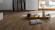 Parador Parquet Trendtime 8 Classic Oak smoked grey handcrafted 1-strip 4V Parador Parquet Trendtime 8 Classic Oak smoked grey handcrafted 1-strip 4V