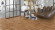 Parador Parkett Trendtime 8 Classic Eiche tree plank 1-Stab Landhausdiele 4V Parador Parkett Trendtime 8 Classic Eiche tree plank 1-Stab Landhausdiele 4V