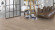 Parador Vinylboden Basic 2.0 Eiche Infinity grau 1-Stab Landhausdiele Parador Vinylboden Basic 2.0 Eiche Infinity grau 1-Stab Landhausdiele