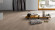 Suelo Vinilo de Parador Basic 2.0 Roble Infinity gris 1-lama Suelo Vinilo de Parador Basic 2.0 Roble Infinity gris 1-lama